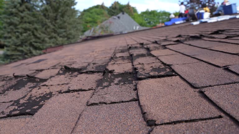 Best 4 Ply Roofing  in Continental, OH